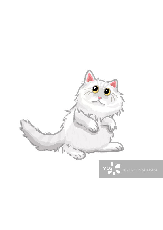 西伯利亚森林猫图片素材