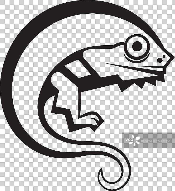 变色龙万花筒影像图片素材