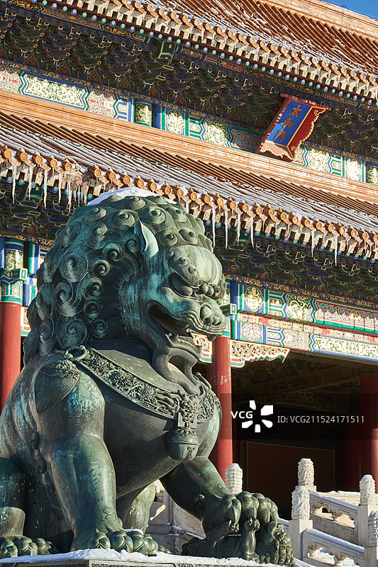 冬天北京故宫紫禁城太和门前铜狮图片素材