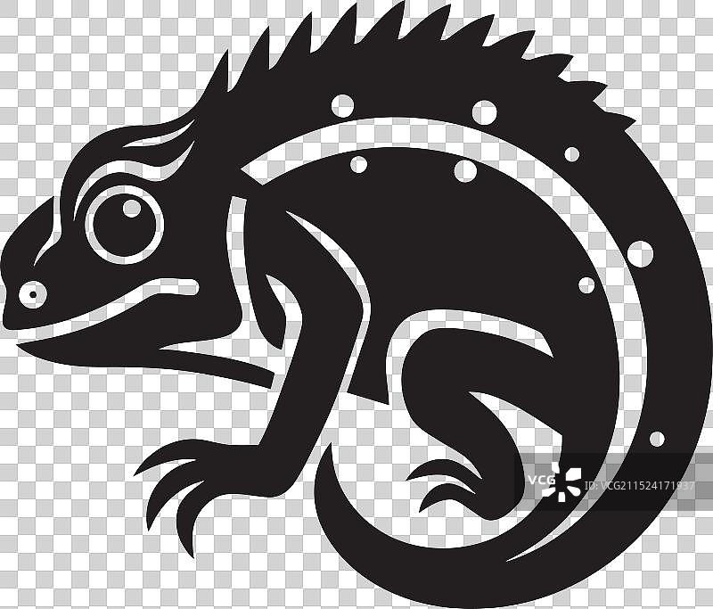 变色龙午夜小夜曲图片素材