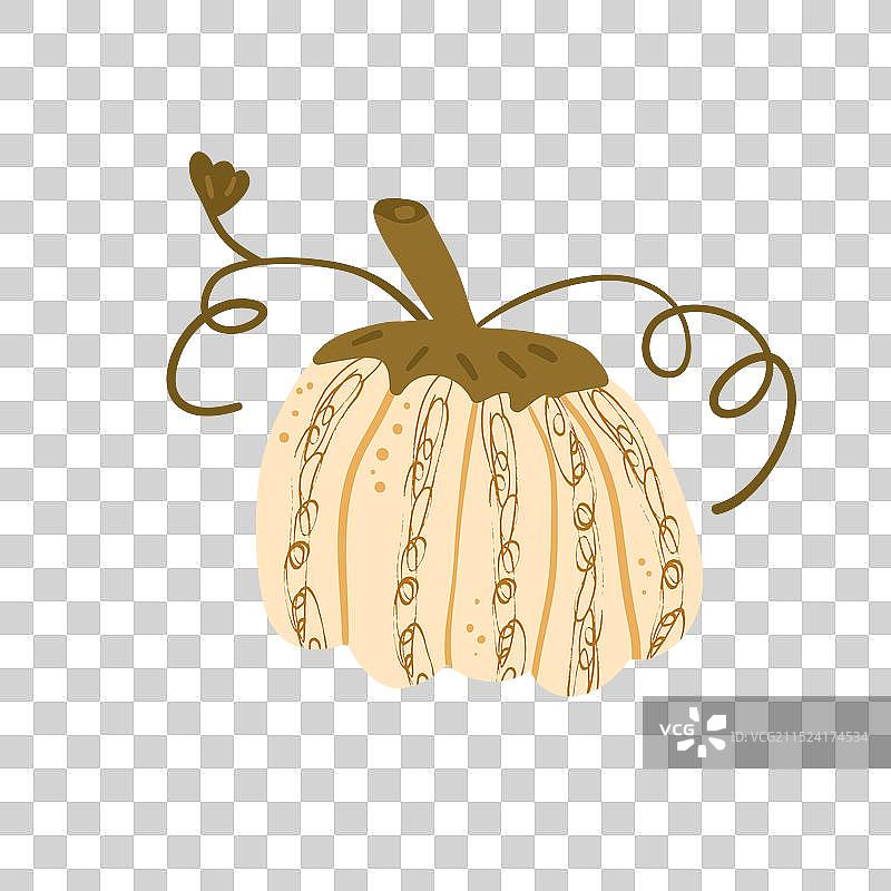 白色背景上的风格化南瓜图片素材