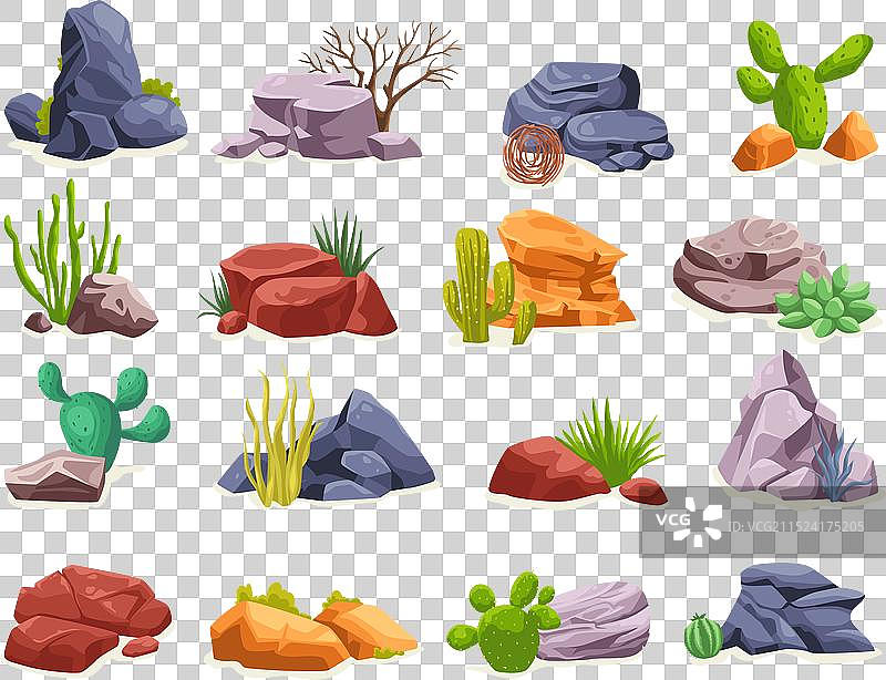 西部沙漠石头植物野生植被图片素材