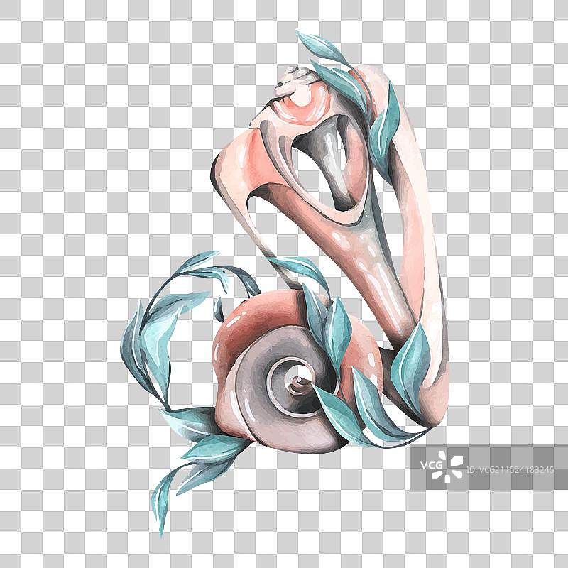 带有孔洞的贝壳图片素材