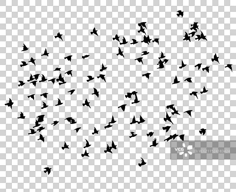 手绘飞鸟群剪影图片素材