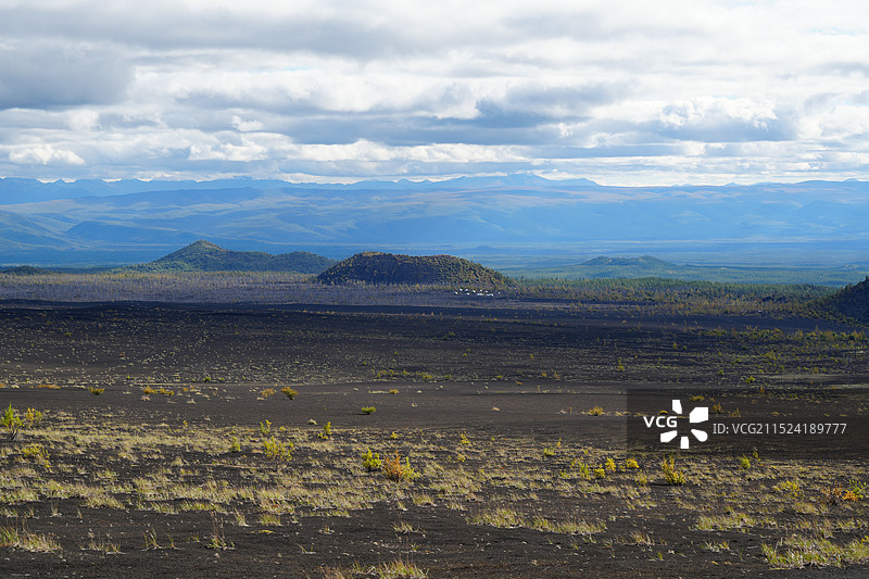 俄罗斯_堪察加半岛_死亡森林图片素材