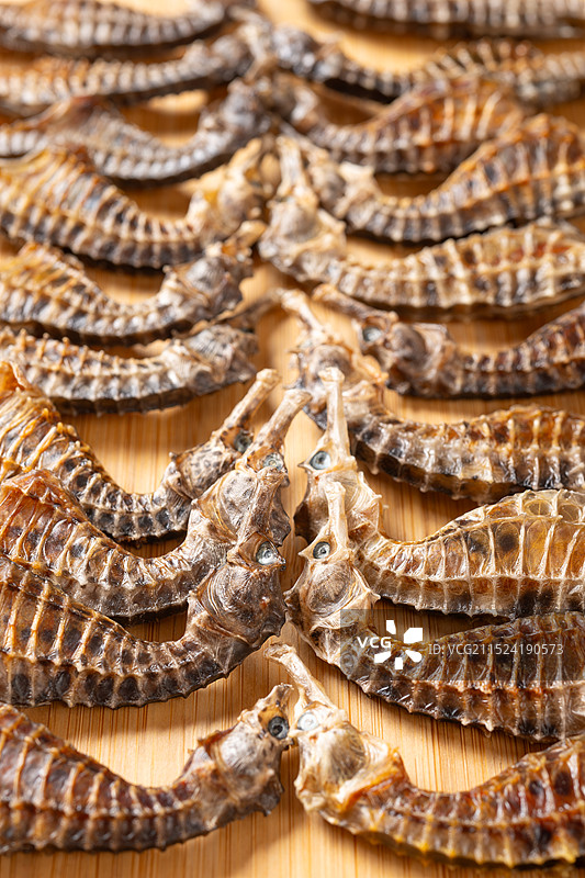 中药海马干侧视图竖直画幅图片素材