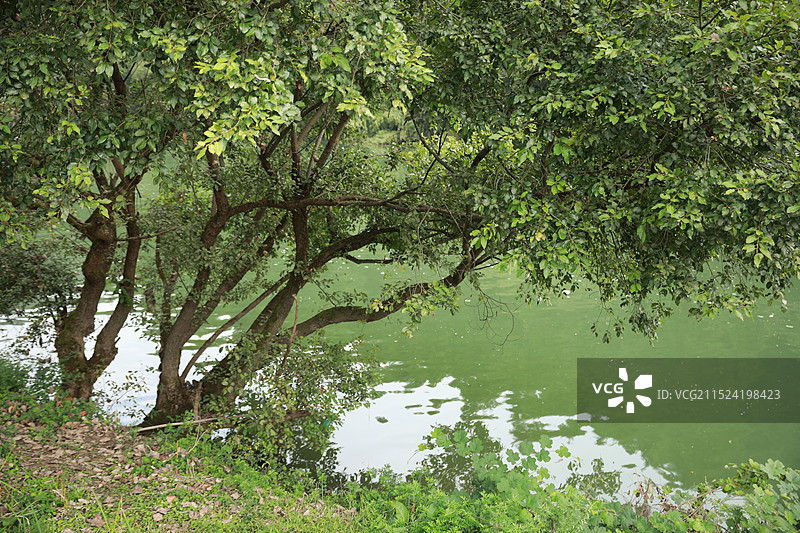 湖北利川以雄、奇、幽、秀为特色的喀斯特洞穴的水乡景色图片素材