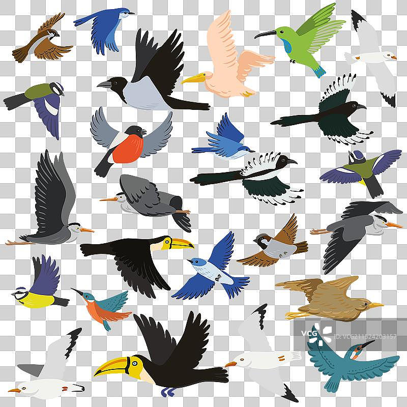 飞鸟手绘图案图片素材