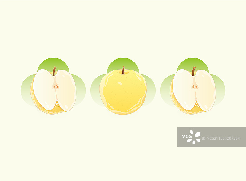 6新鲜的梨子矢量插画图片素材