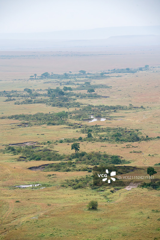 俯瞰马赛马拉国家公园的河流图片素材
