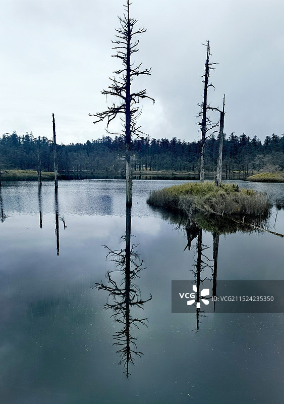 瓦屋山顶鸳鸯池中树顶着天空图片素材
