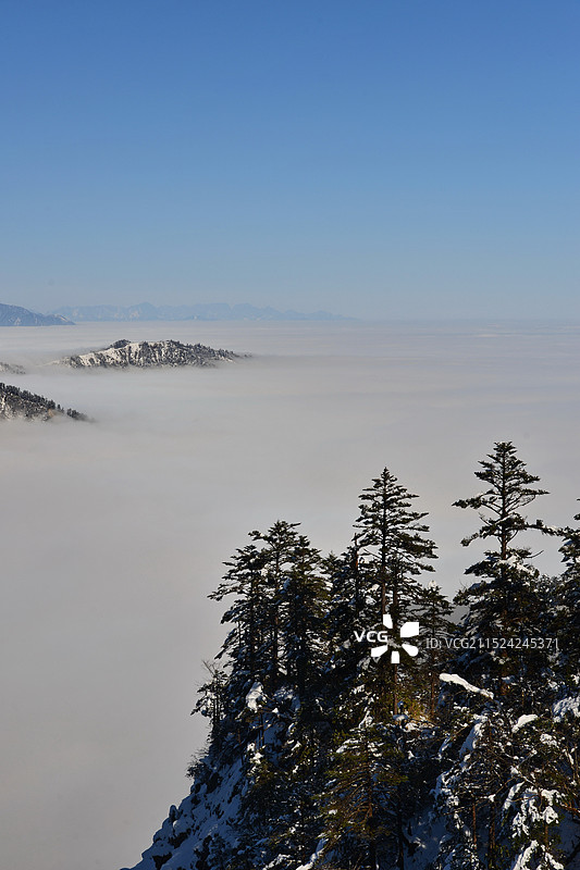 西岭雪山的山顶原始森林和壮观云海，成都周边冬季热门滑雪目的地图片素材