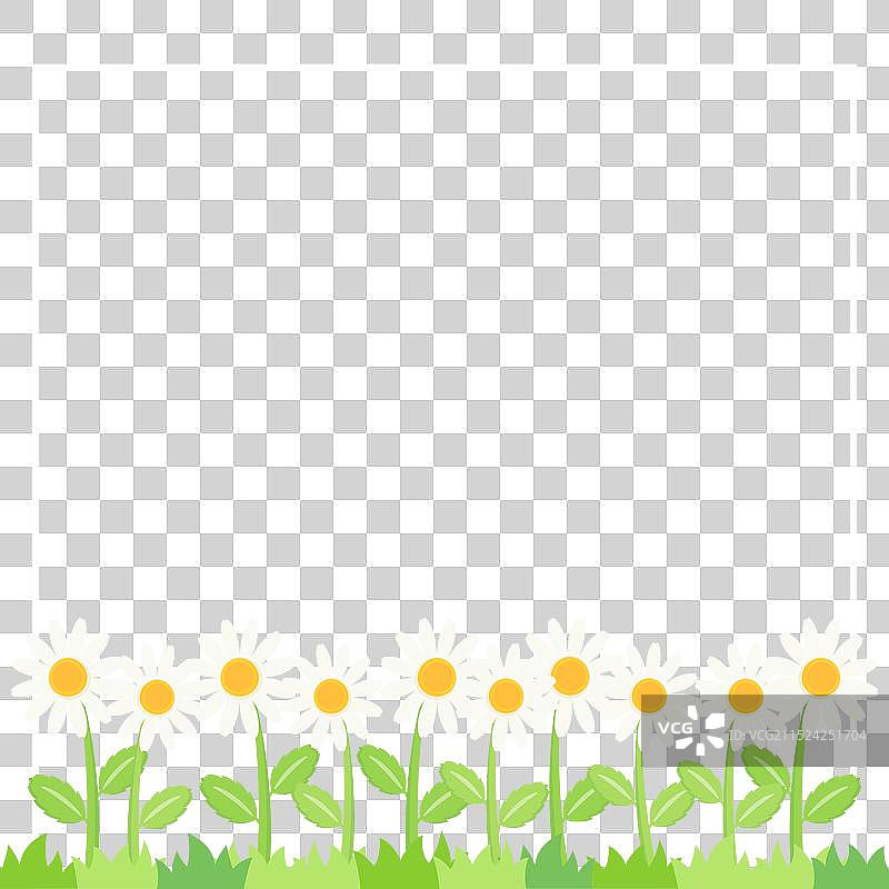 小雏菊花环1图片素材