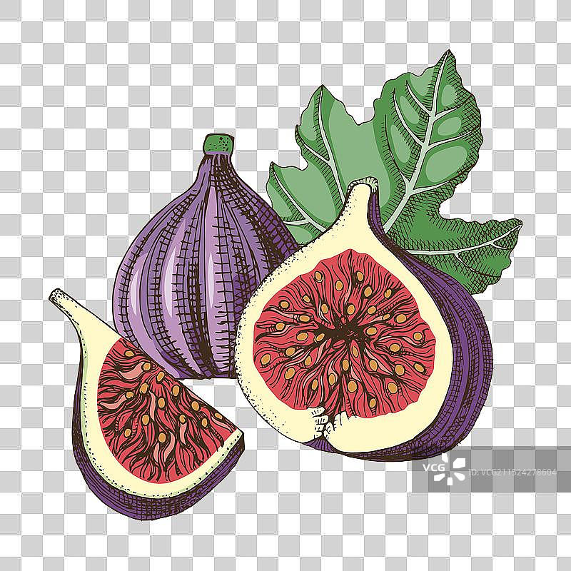 带叶子的完整和切片无花果图片素材