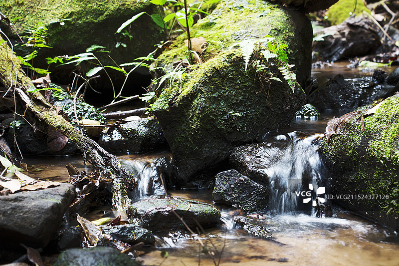 楚雄紫溪山景区图片素材