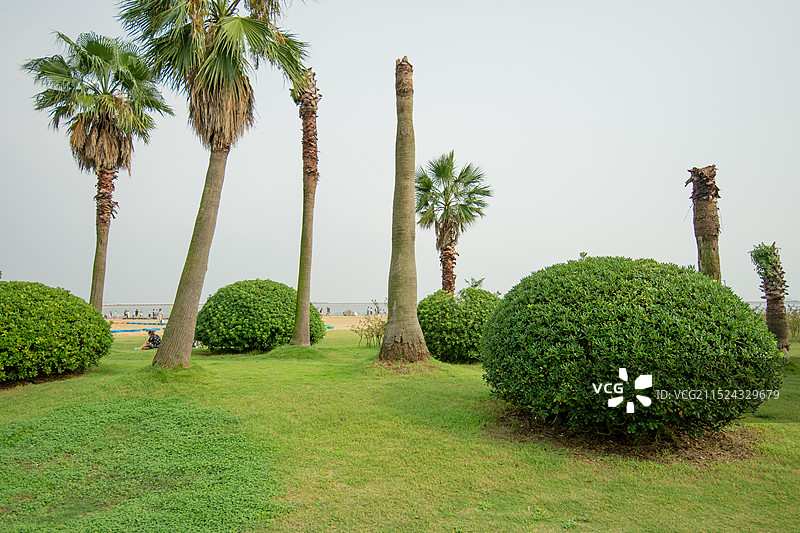 上海金山城市沙滩景区图片素材