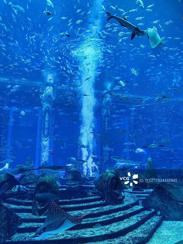 三亚亚特兰蒂斯酒店的水族馆图片素材