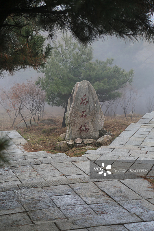 云雾缭绕的石碑泰山后山坞图片素材
