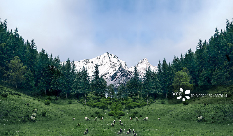 天上草原图片素材