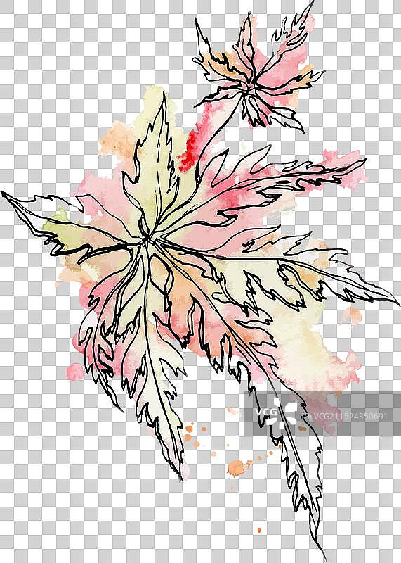 水彩墨水手绘秋叶图片素材