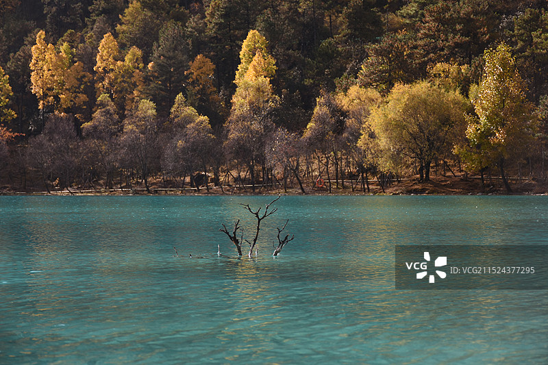 玉龙雪山下的海子图片素材