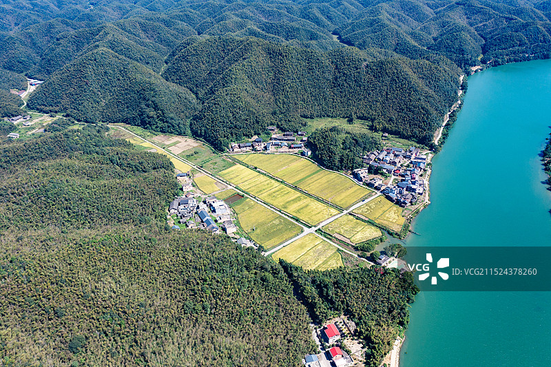 航拍湖南衡阳耒阳市蔡伦竹海风景图片素材