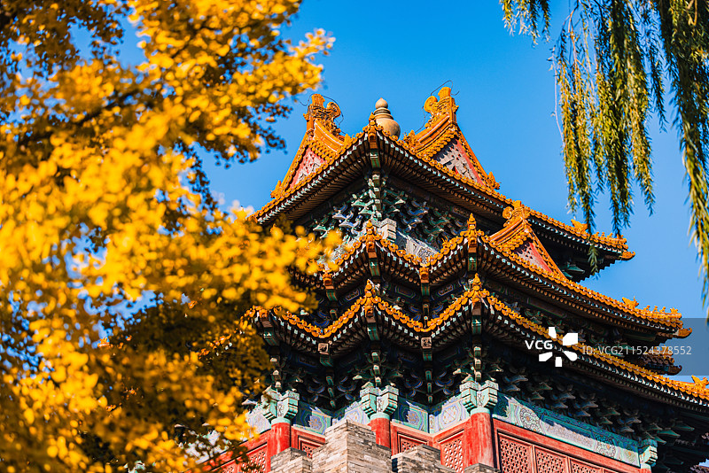 秋天的故宫角楼图片素材