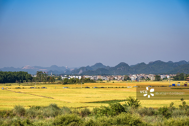 湖南永州宁远县九嶷山下灌村秋天成熟的稻田图片素材