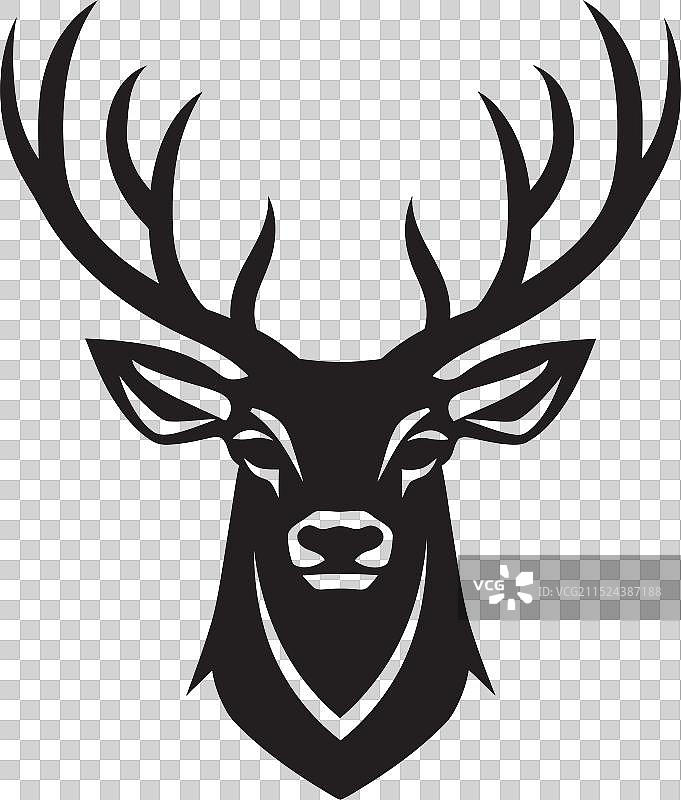 印度轴鹿在森林中的作用图片素材