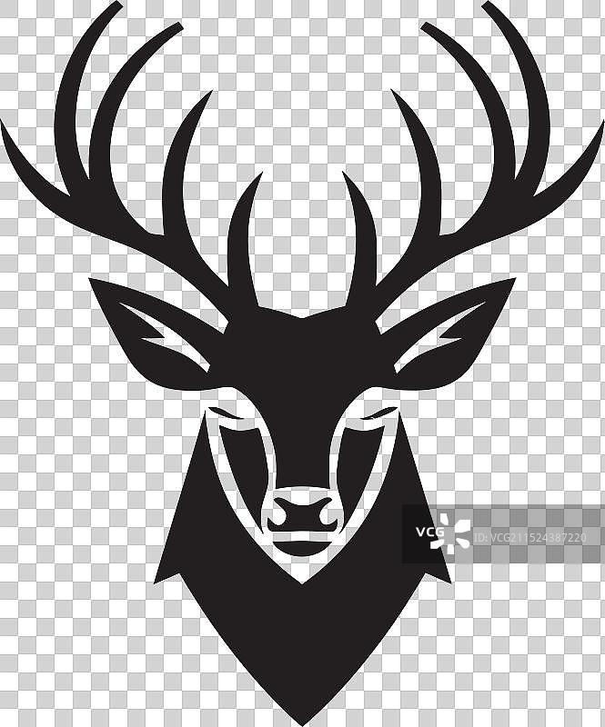 优雅的跳跃：瞪羚和白尾鹿图片素材