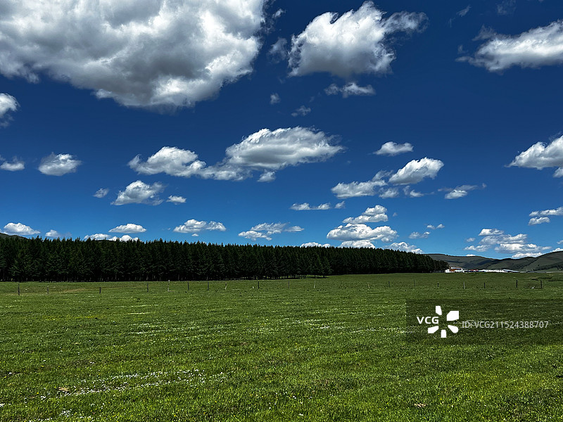 内蒙古赤峰克什克腾乌兰布统草原图片素材