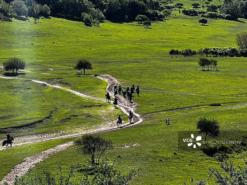 内蒙古赤峰克什克腾乌兰布统草原图片素材