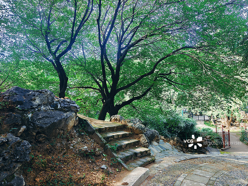 颐和园 谐趣园图片素材