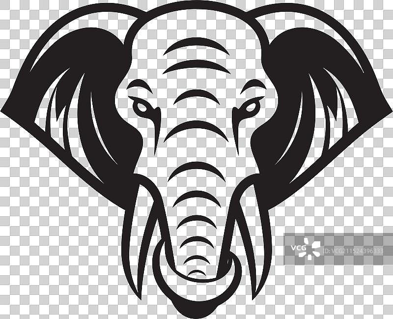 大象身体结构解剖图（不含象鼻和象牙）图片素材