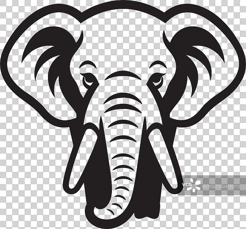 非洲象与印度象的对比图片素材