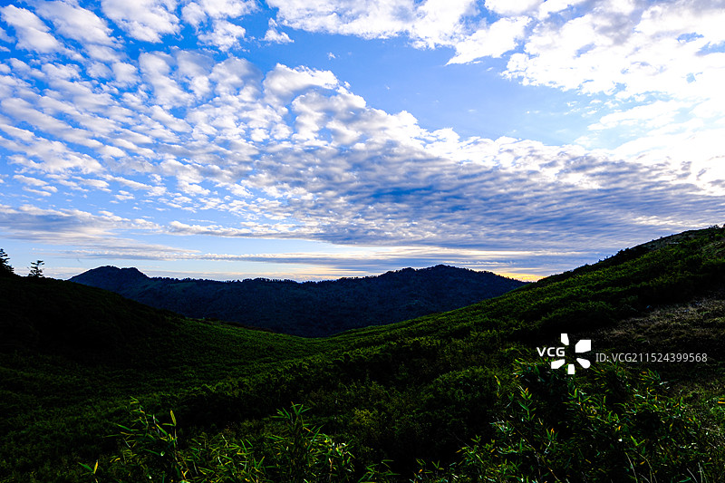 中国湖北神农架林区，神农架国家森林公园，中国自然保护地，神农架板壁岩景区，板壁岩，华中屋脊，天空，图片素材