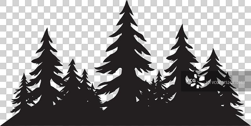 温带雨林探险图片素材