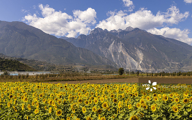 玉龙雪山下图片素材