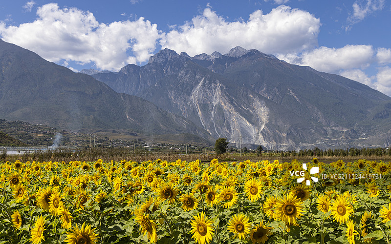 玉龙雪山下图片素材