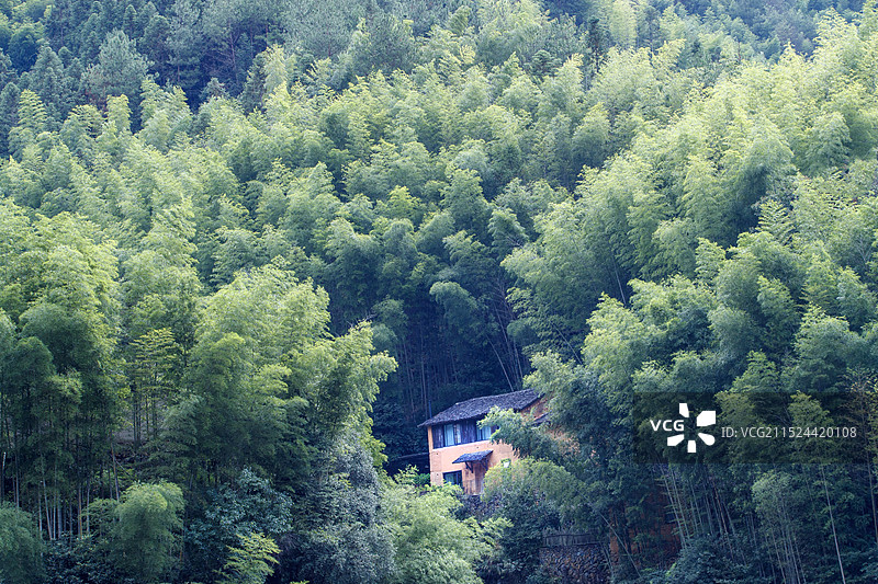 竹海乡居-拍摄于浙江丽水松庄村图片素材