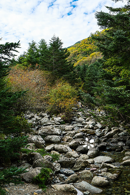 中国湖北神农架林区，神农架国家森林公园，湖北神农架世界自然遗产地，中国神农架世界生物圈保护区，神农架图片素材