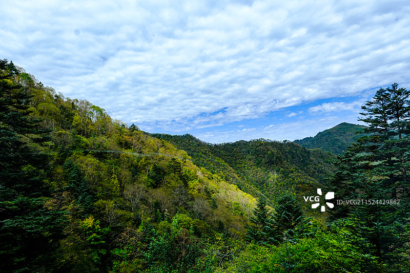 中国湖北神农架林区，神农架国家森林公园，湖北神农架世界自然遗产地，中国神农架世界生物圈保护区，神农架图片素材