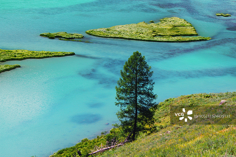 新疆阿勒泰夏日的喀纳斯河图片素材