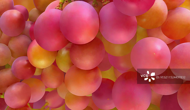 秋日里玛瑙一般诱人的巨峰葡萄图片素材