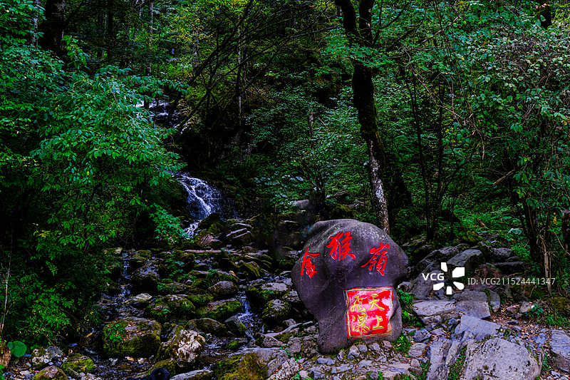 中国湖北神农架林区，神农架国家森林公园，湖北神农架世界自然遗产地，金猴岭中国神农架世界生物圈保护区，图片素材