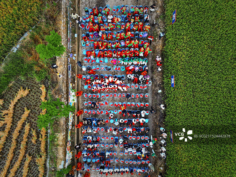 梯田里正在庆祝丰收的人们图片素材