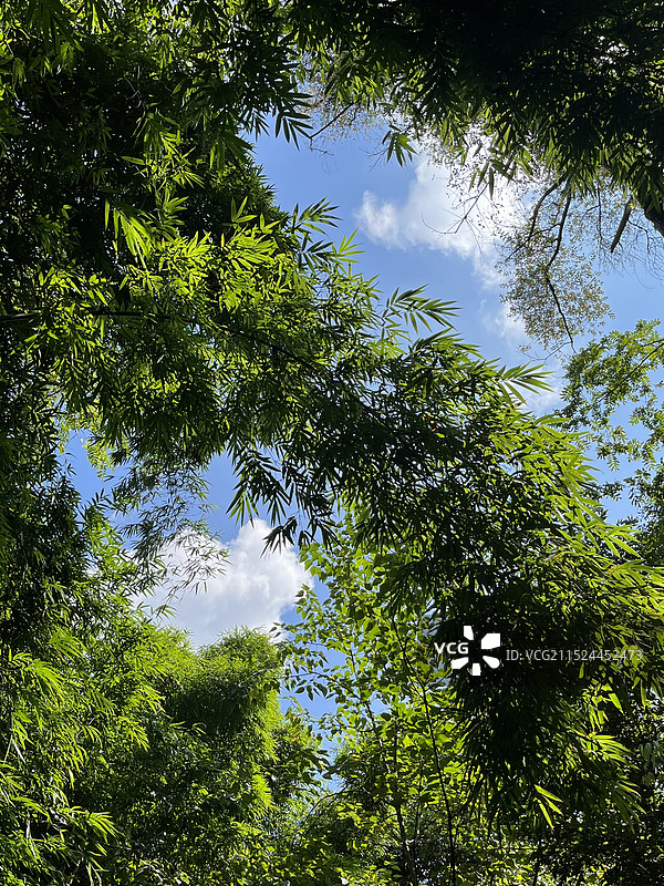 成都崇州道明竹艺村图片素材