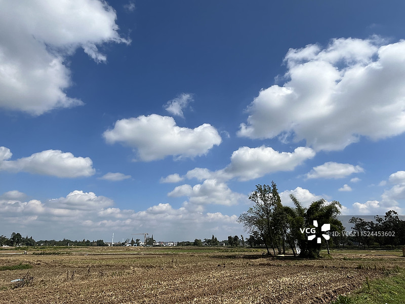 成都崇州道明竹艺村竹编大熊猫图片素材