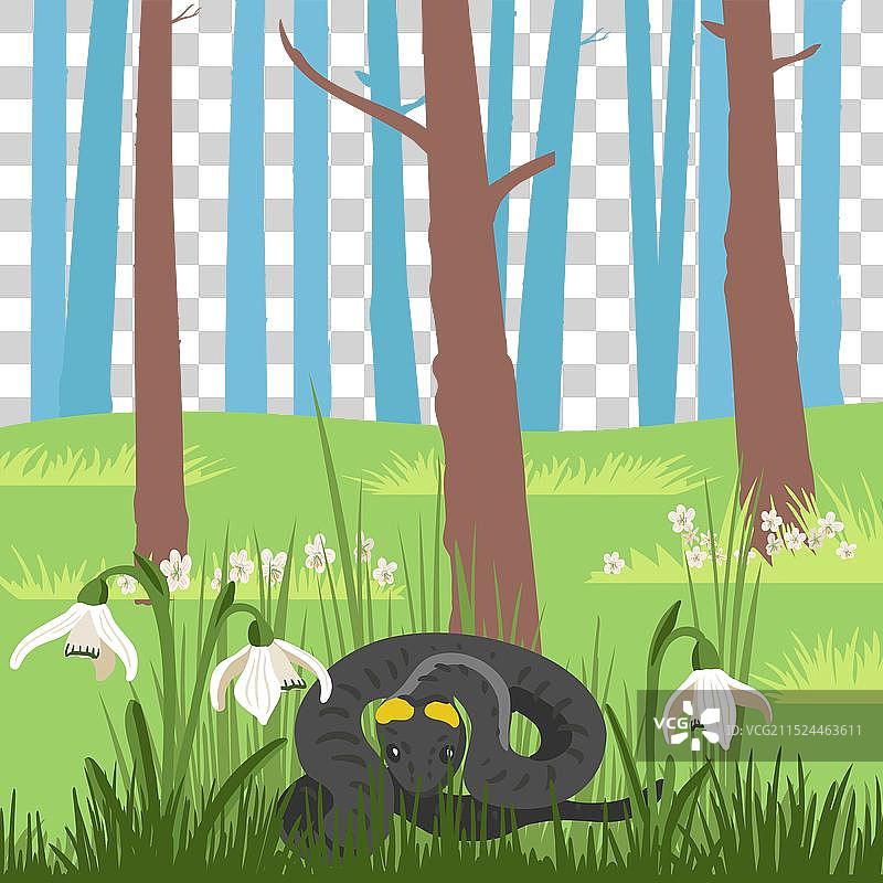 森林里的蛇绘画图片素材