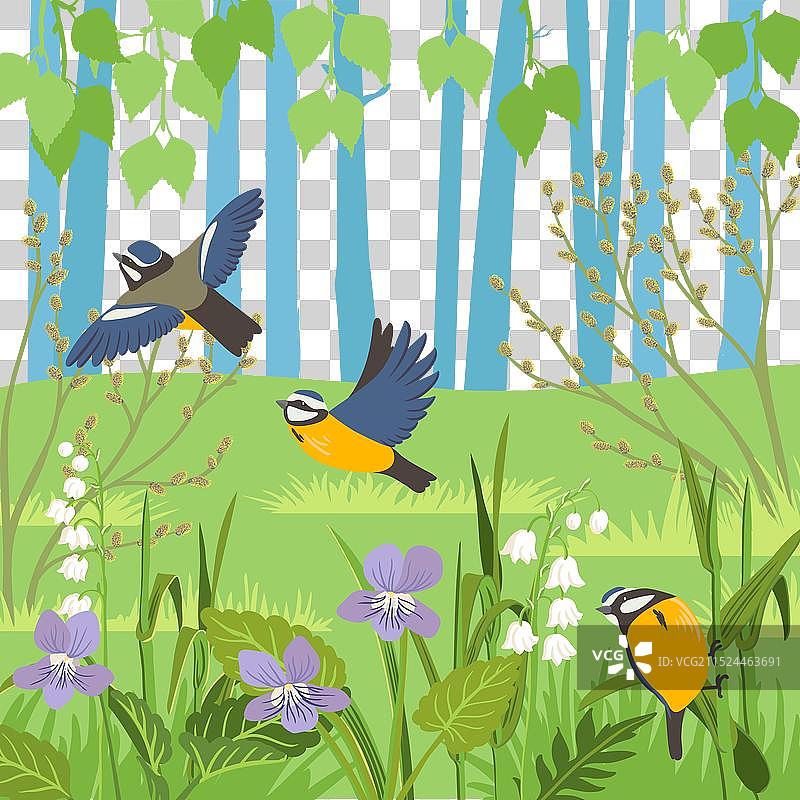 森林中的鸟类绘画图片素材